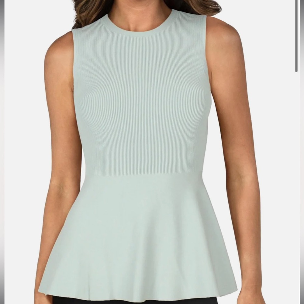Theory Lustrate Classic Peplum Top. In excellent condition-only worn twice!
